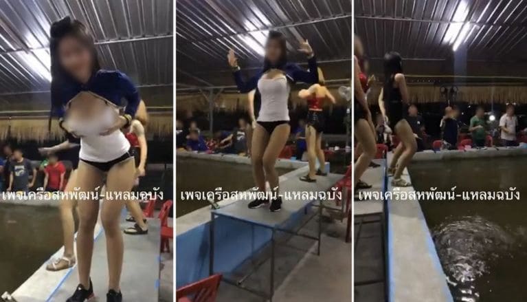 В Тайланде закрыли заведение за слишком откровенные танцы возле бассейна с креветками (Видео) В Тайланде закрыли заведение за слишком откровенные танцы возле бассейна с креветками (Видео)