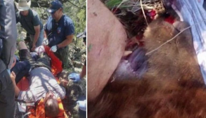 Американец не смог разжать челюсти мёртвого медведя на своей ноге, после схватки с ним