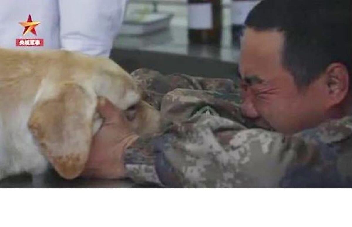 Китайский солдат не смог сдержать слёз, прощаясь с неизлечимо больным верным псом