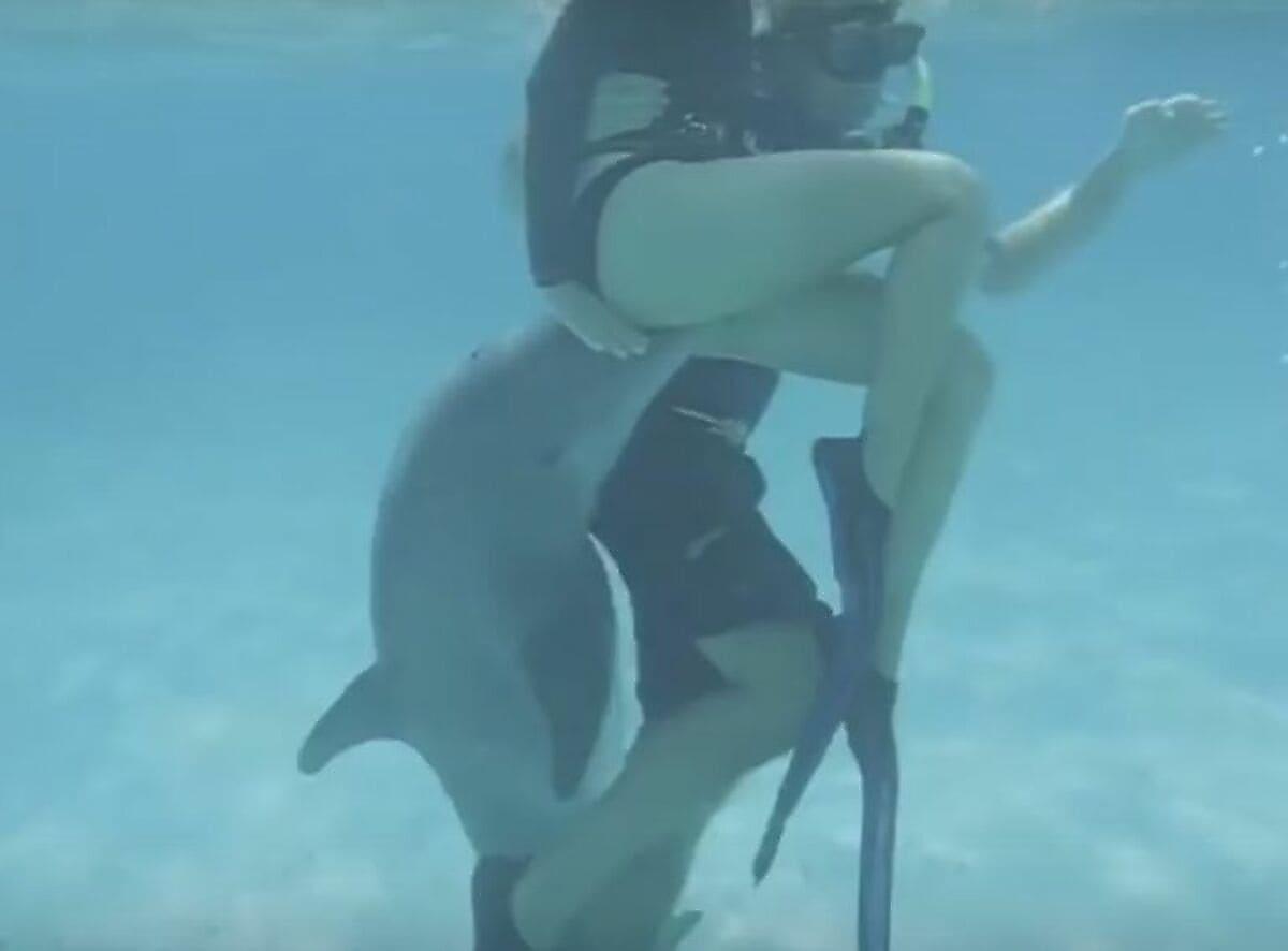 Дайверша привлекла внимание настырного дельфина во время совместных игр