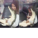 Молодая экстремалка сделала домашнее селфи с пойманным на улице крокодилом ▶