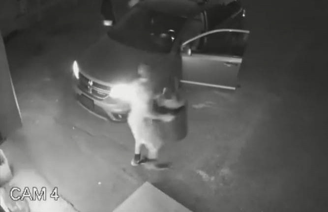 Провальная попытка украсть корзину с собачьими отходами, попала на видеокамеру в Канаде