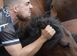Тысячи испанцев приняли участие в массовой «объездке» диких лошадей в Галисии. (Видео) 18
