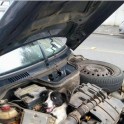 Бразильская автовладелица, открыв капот, обнаружила необычную причину поломки своего автомобиля. 1