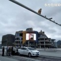 Краснозадая обезьяна стала виновницей ДТП на китайской магистрали 3