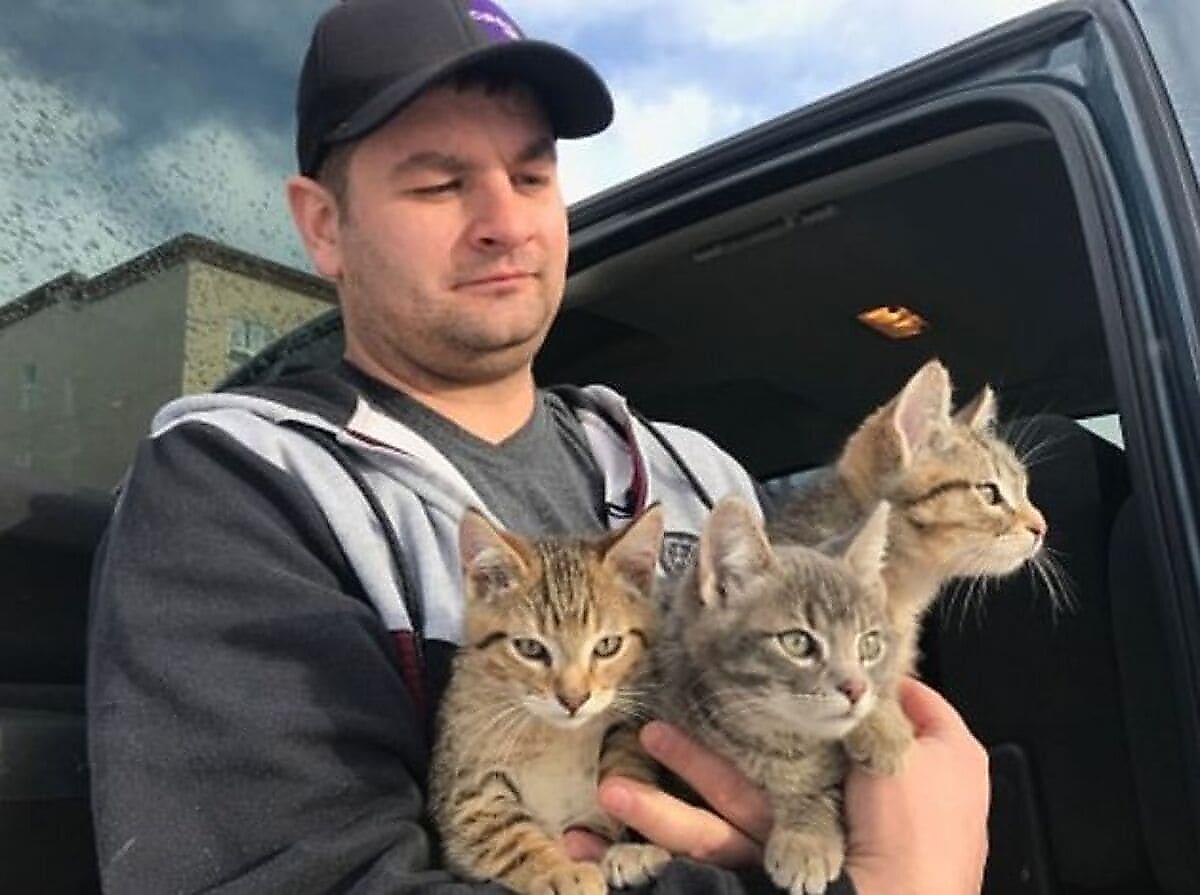 Нефтяник, используя горячий кофе, спас замёрзших котят в Канаде