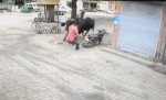 Мотоциклист неожиданно оказался на пути двух быков в Индии (Видео)