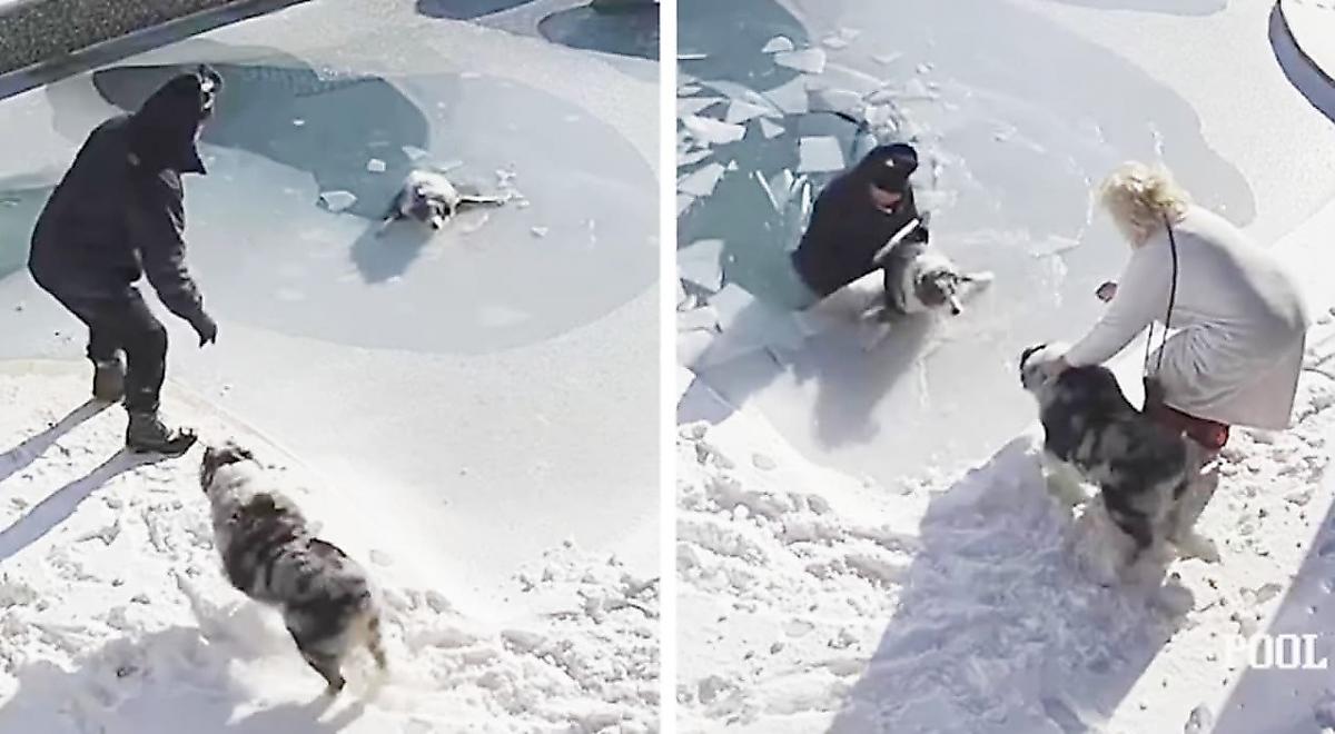 Американец провалился под лёд, спасая тонущего пса