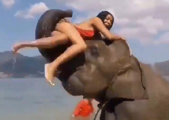 Слон перебросил через себя наглую девицу во время фотосессии в Таиланде ▶