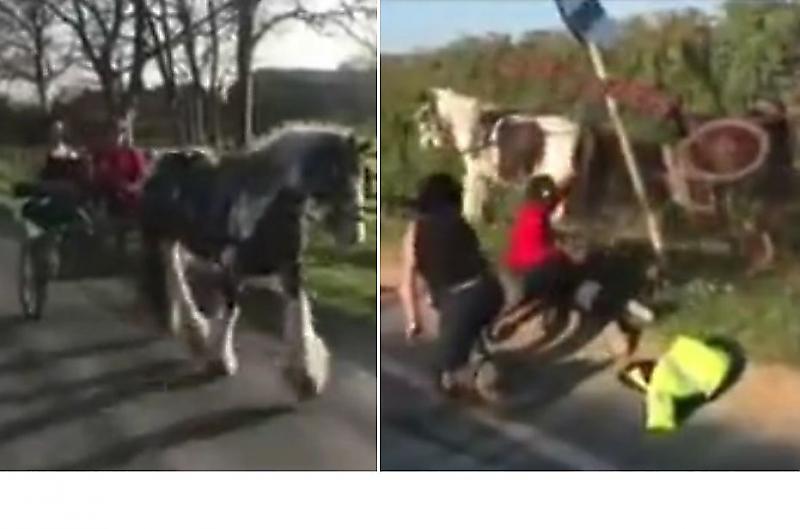 Доброжелательный пешеход спугнул лошадь, которая врезалась в столб и перевернула тележку с дамами ▶