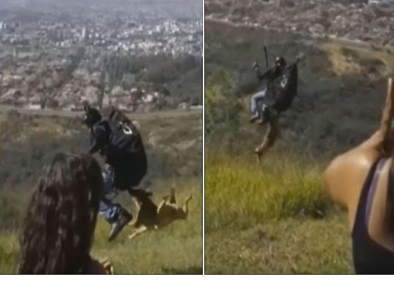 Пёс, вцепившись в рюкзак парапланериста, совершил незапланированный полёт в Бразилии ▶