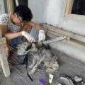 Индонезиец спас жизнь похожему на мумию бродячему псу (Видео) 3