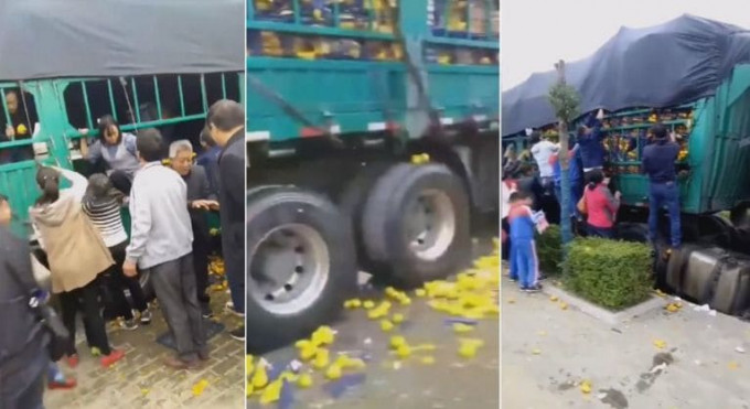 Толпа местных жителей разграбила груз с апельсинами из попавшей в ДТП фуры в Китае (Видео)