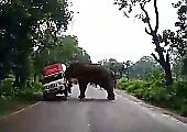 Слон наказал наглого автомобилиста, попытавшегося обогнать его и перевернул фургон ▶