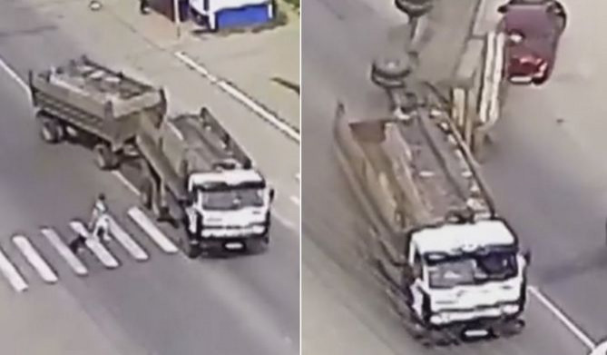 Верный пёс спас жизнь своей хозяйке, «пустив под откос» грузовик в Бийске (Видео)