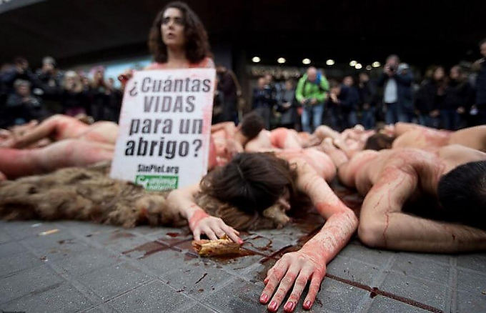 Десятки голых испанцев приняли участие в кровавой инсталяции, в поддержку пушных зверей