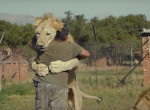 Любитель диких животных создал свой заповедник для хищников в ЮАР ▶