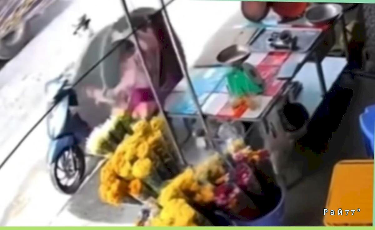 Отлетевшее от трактора колесо угодило в женщину во Вьетнаме ▶️