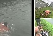 Смелый британец нырнул в холодные воды канала и спас утопающего оленя ▶ 2