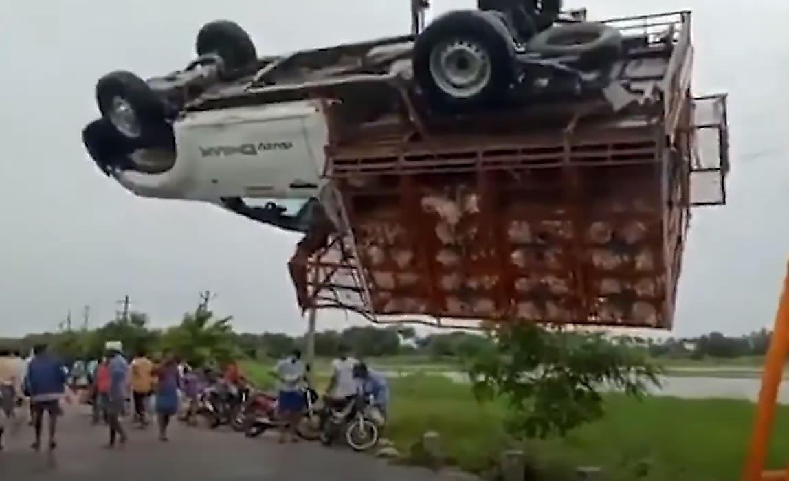Жители деревни совершили налёт на перевернувшийся грузовик с курицей в Индии
