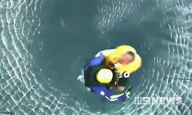 Жадные рыбаки, поймавшие двух акул, лишились лодки возле побережья Австралии