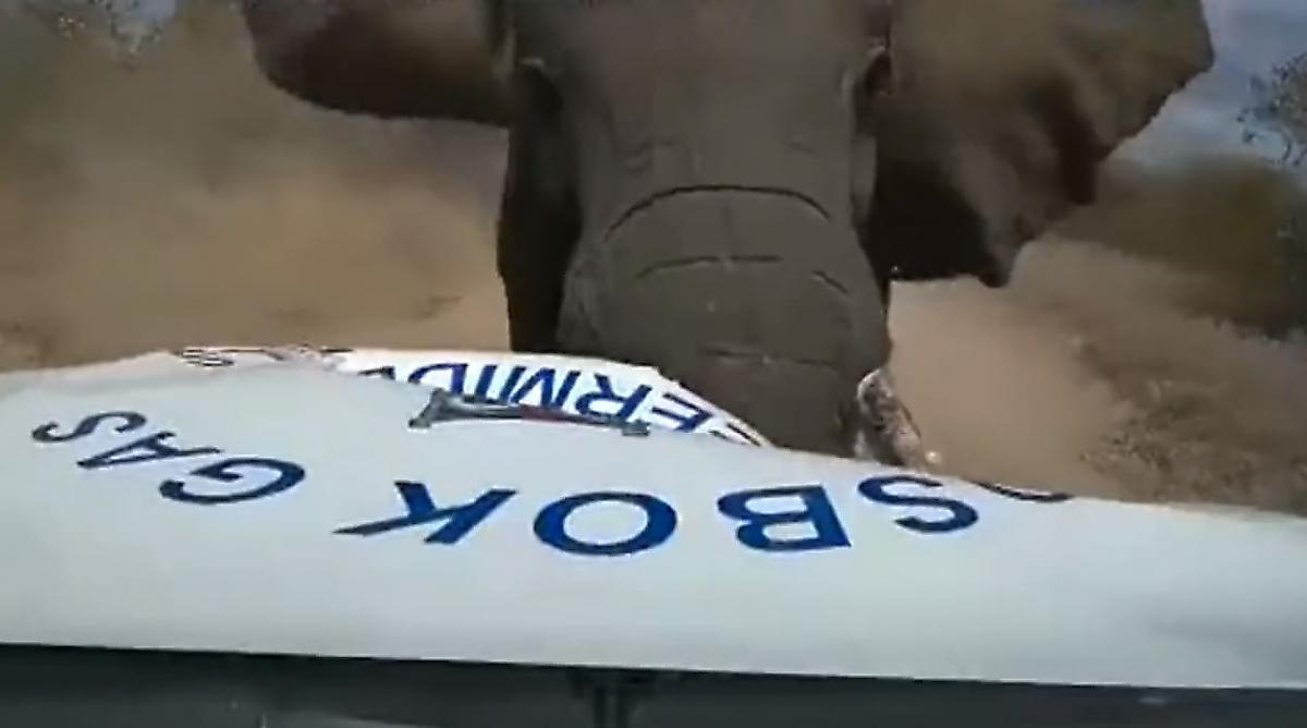 Разъярённый слон лишил капота автомобиль туристов в ЮАР