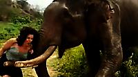 Слон отправил в полёт девицу, дразнившую его бананом на Шри-Ланке