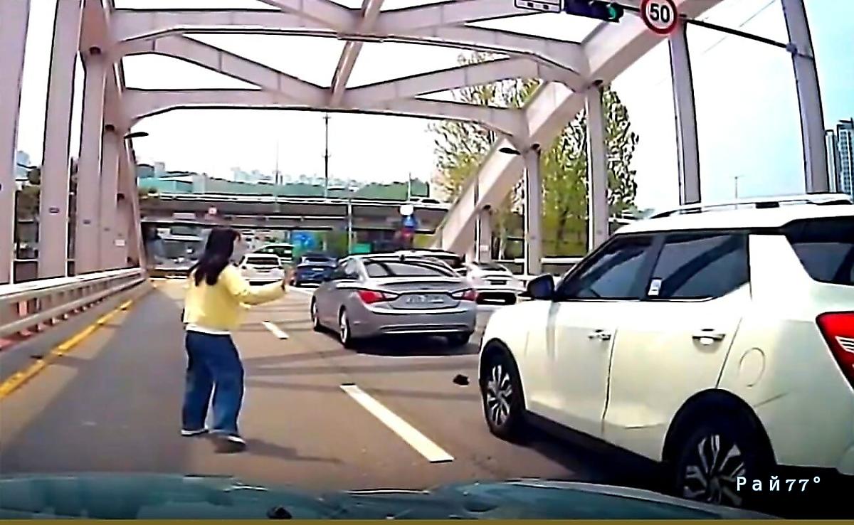 Котёнок чудом пережил наезд нескольких автомобилей на корейском мосту Котёнок чудом пережил наезд нескольких автомобилей на корейском мосту