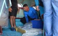 Вынужденную эвакуацию шести дельфинов провели в кубинском аквапарке. (Видео) 3