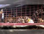 Леопард, угодивший в капкан, был спасён на индийской ферме (Видео) 2