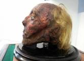 Мумифицированную голову британского учёного, умершего в 1832 году выставили на обозрение в университете Лондона. 0