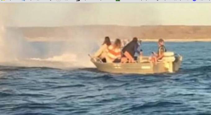 Горбатый кит чуть не перевернул лодку с туристами в Австралии (Видео)