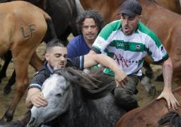 Тысячи испанцев приняли участие в массовой «объездке» диких лошадей в Галисии. (Видео) 5