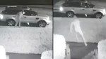 «Голый ниндзя» предотвратил угон автомобиля своей подруги (Видео)