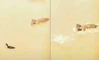 Утка перехитрила тигра в мутном водоёме (Видео)