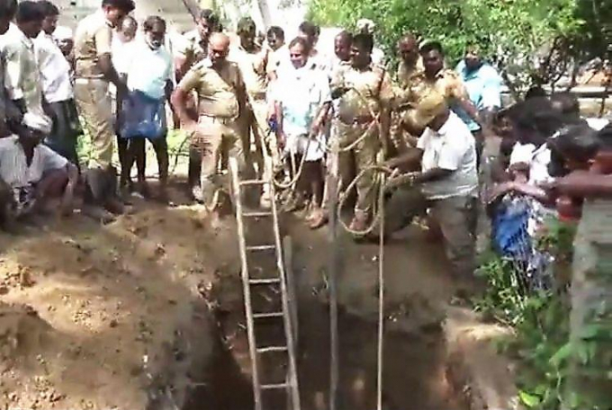 Жители индийской деревни спасли крокодила, провалившегося в садовую яму ▶
