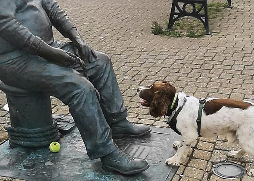 Игривый пёс, как не пытался, не смог привлечь памятник к игре