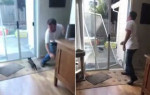 Нетерпеливая кошка снесла пластиковую дверь в Калифорнии (Видео)