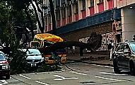 Дерево расплющило автобус и попало на видео в Гонконге 5