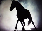 Лошадь с повозкой сбежала со свадьбы и «подрезала» легковушку в США