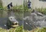 Огромный крокодил поверг в бегство американца, дёргающего его за хвост (Видео)