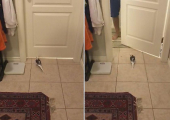 Упрямый попугай устроил «день открытых дверей» в квартире хозяина ▶
