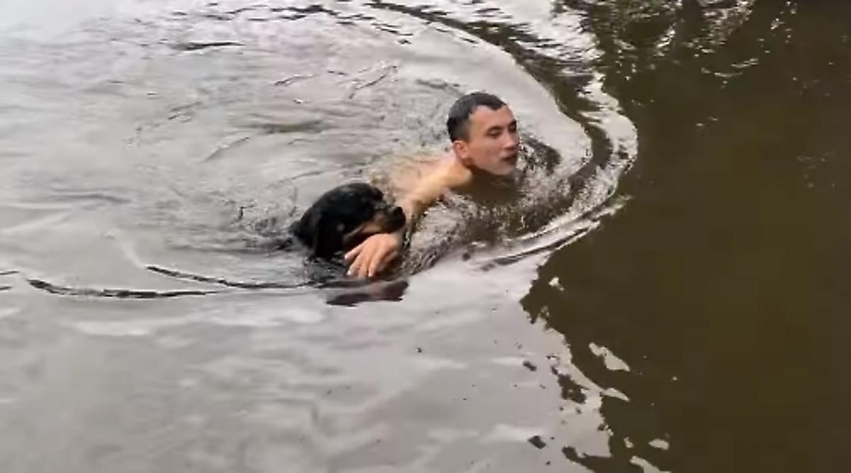 Верный пёс прошёл испытание и за руку притащил своего хозяина к берегу реки