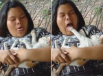 Кошка проучила тучную китаянку, дразнившую её ▶