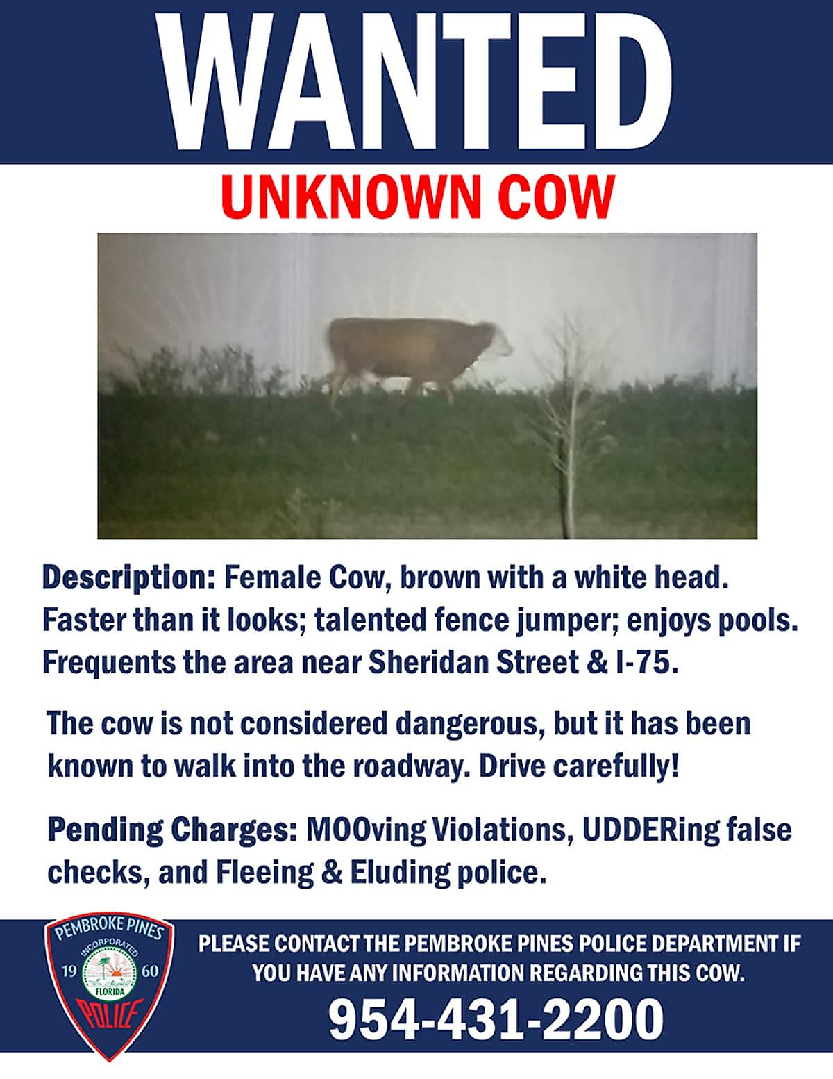 Полицейские объявили в розыск слишком прыткую корову