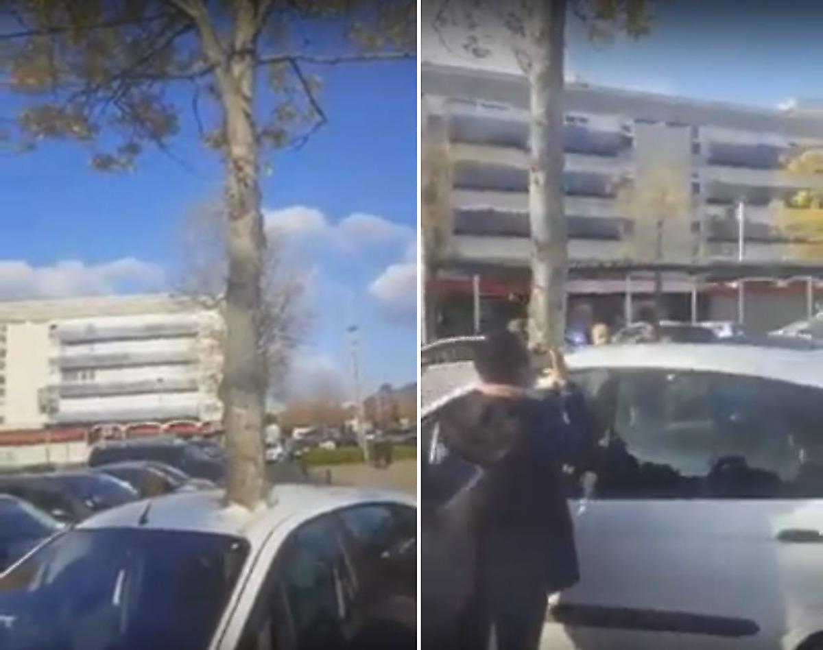 Французские креативщики «прорастили» дерево сквозь крышу автомобиля