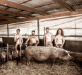 Австралийские студенты запечатлелись голыми для благотворительного календаря 0