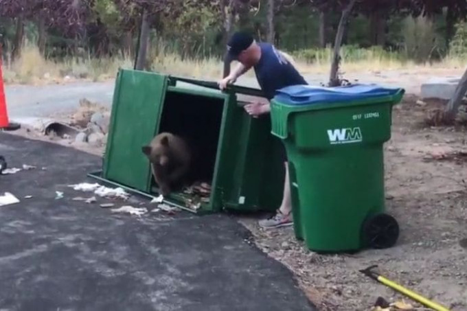 Операция по спасению трёх медвежат, застрявших в мусорном контейнере, была проведена в США (Видео)
