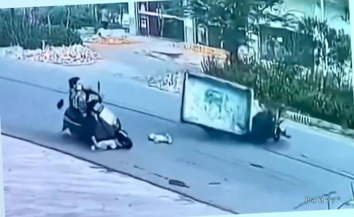 Собачий забег закончился опрокидыванием двух мотороллеров в КНР ▶️ Собачий забег закончился опрокидыванием двух мотороллеров в КНР ▶️