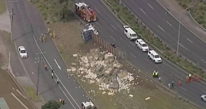 Грузовик с сотнями живых кур потерпел крушение на автомагистрали в Австралии. (Видео)